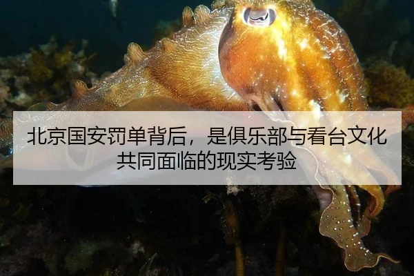 北京国安罚单背后，是俱乐部与看台文化共同面临的现实考验